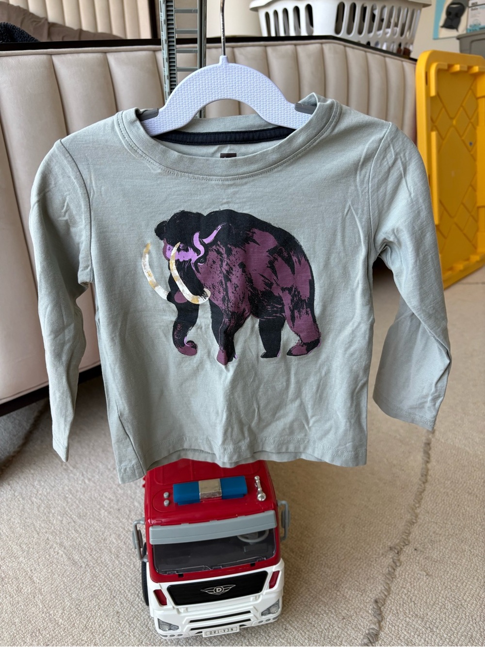 TEA COLLECTION | Boys Long-Sleeve Mammoth Graphic Tee - EUC